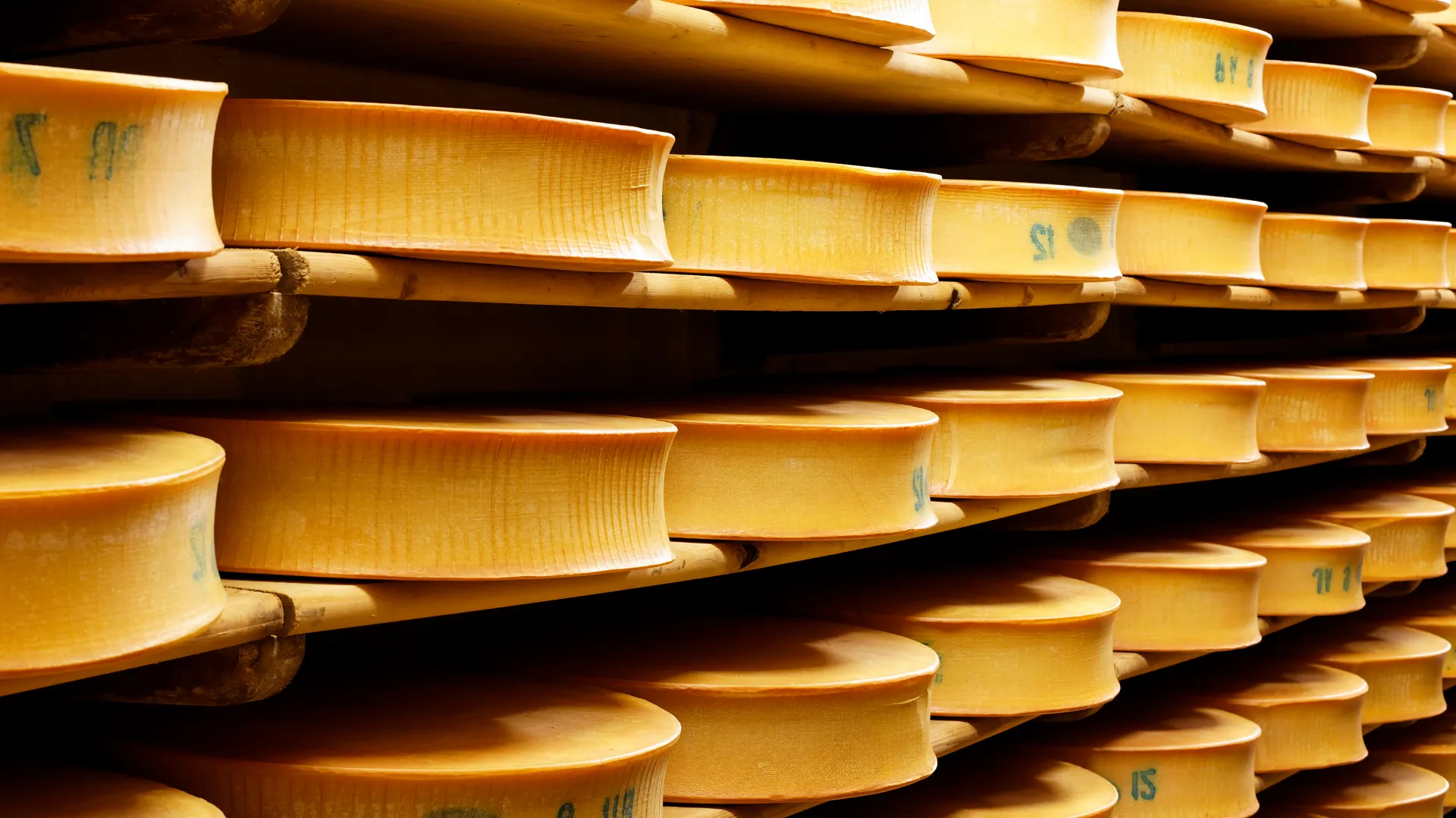 Meules de fromage de Savoie en cave d’affinage